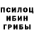 Псилоцибиновые грибы ЛСД TEHAMI QADRI